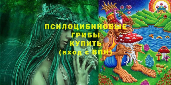 герыч Алексин