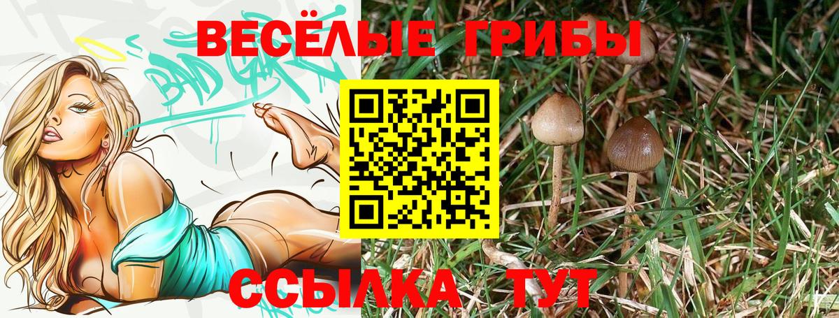 Мефедрон Кохма